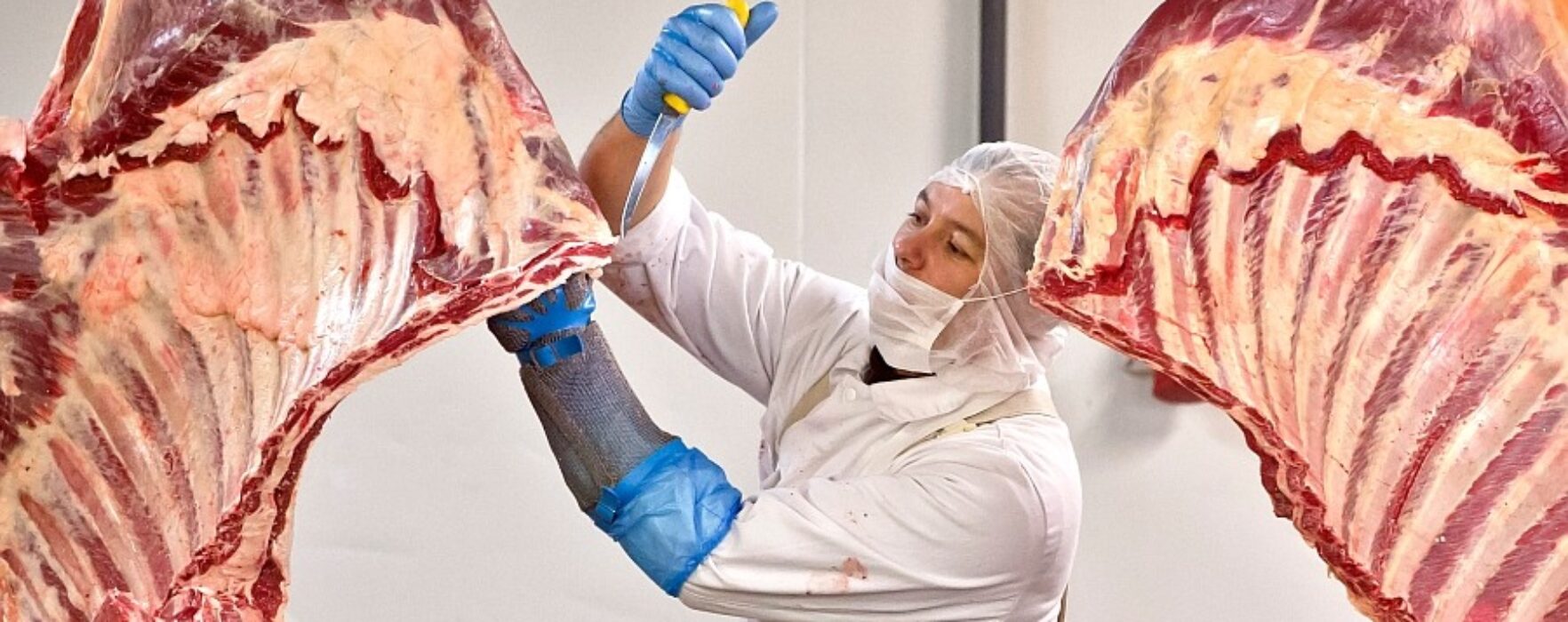 Se caută tranşatori carne în Irlanda, salariu 8 euro/oră