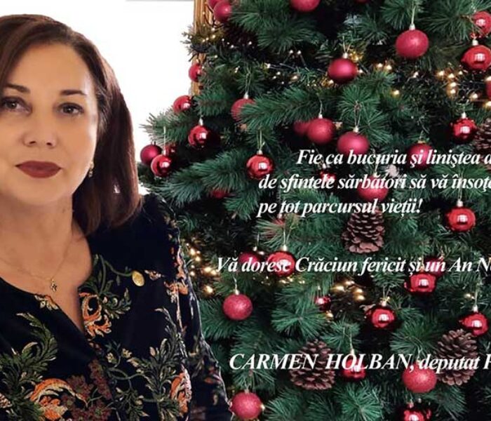 Deputat PSD de Dâmbovița, Carmen Holban – Urare sărbători de iarnă 2021