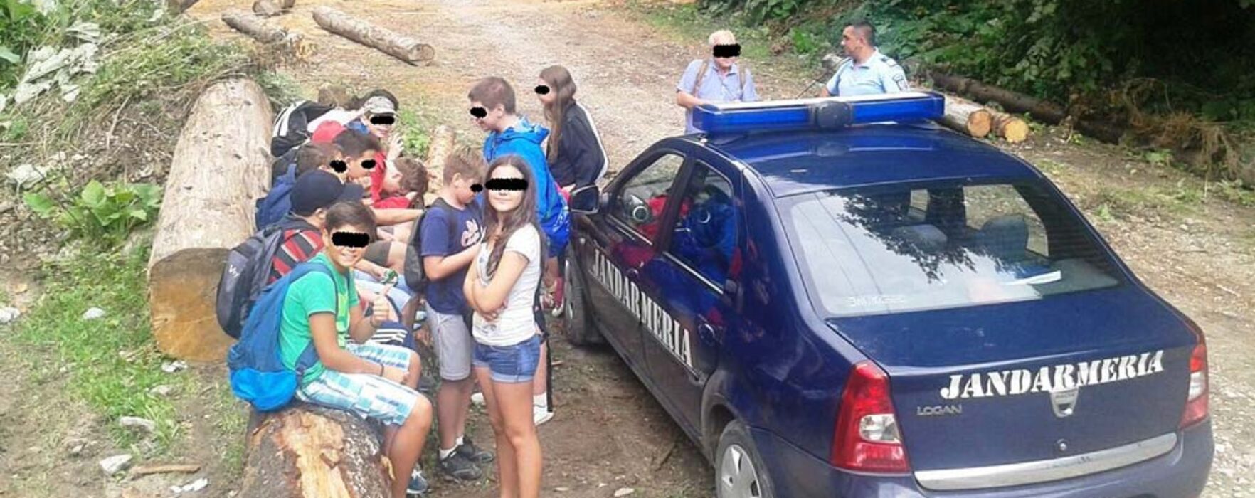 Grup de copii atacat de un roi de albine în zona Lespezi