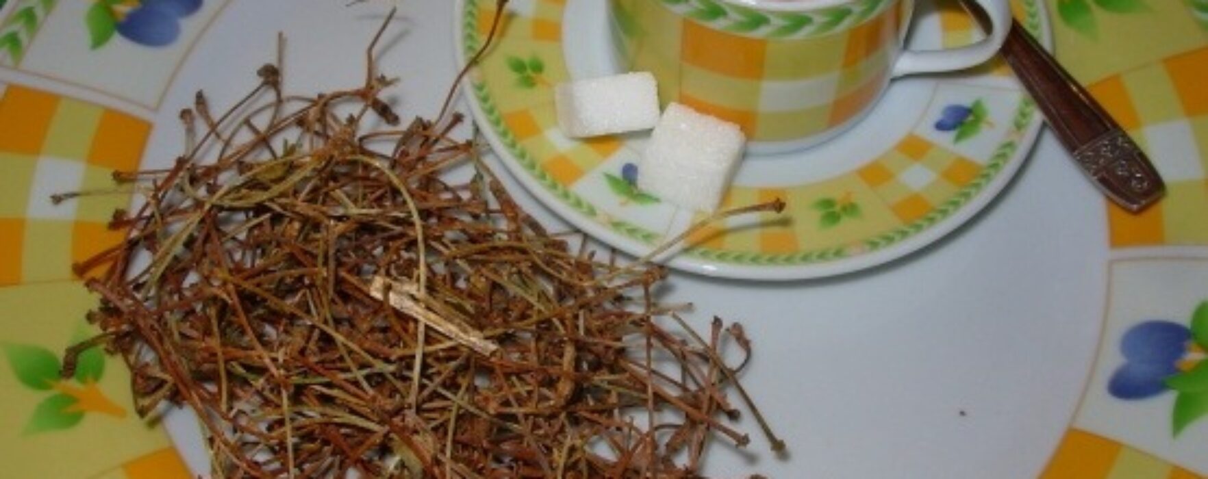 Efectele benefice ale ceaiului de cozi de cireşe