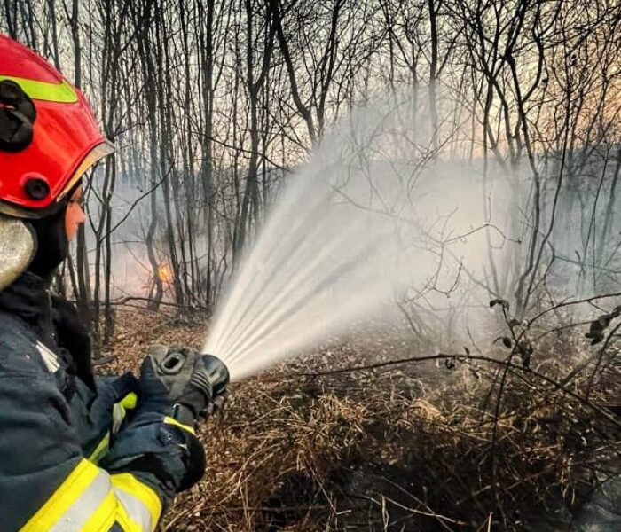 Incendii de vegetaţie uscată la marginea Târgoviştei, pe cinci hectare