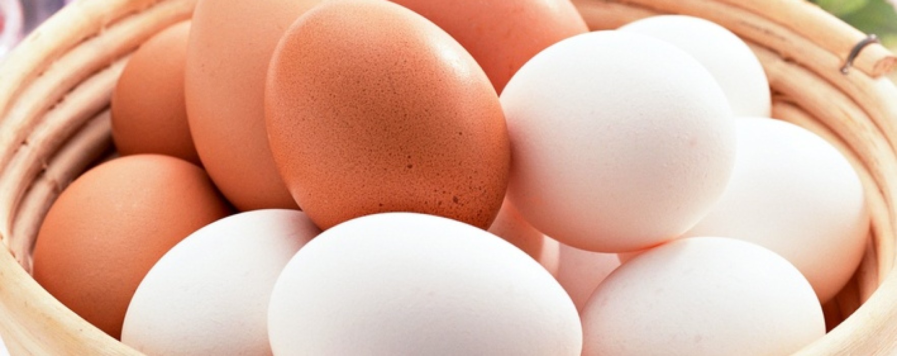 Care este adevărata diferență între ouăle albe și cele maro